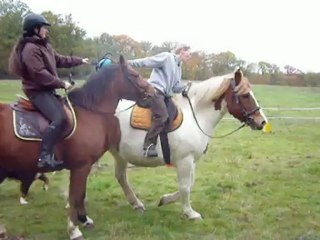 Jéro-Fany horse ball