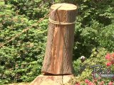 Tree Removal Company - Rick's Tree Service
