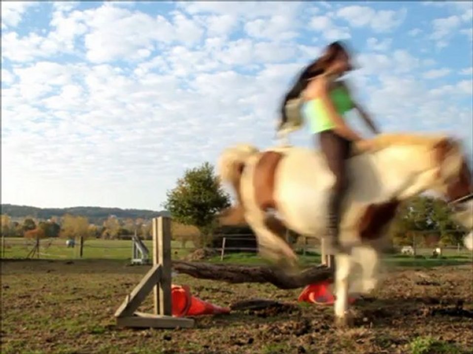 Jakda & Fidgy, leçon n°2.