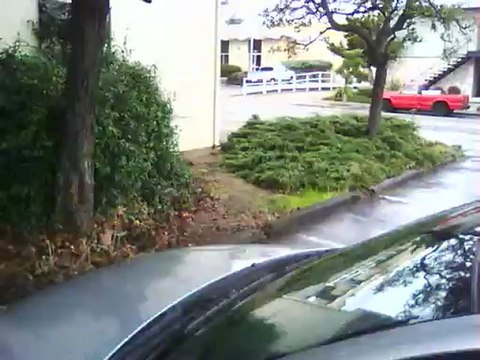 TARGET THE MAN TOO DARK: HOW MUSLIMS & NON-MUSLIMS CONNIVED TO DESTROY ANY LOVE-MARRIAGE IN MY LIFE - 16