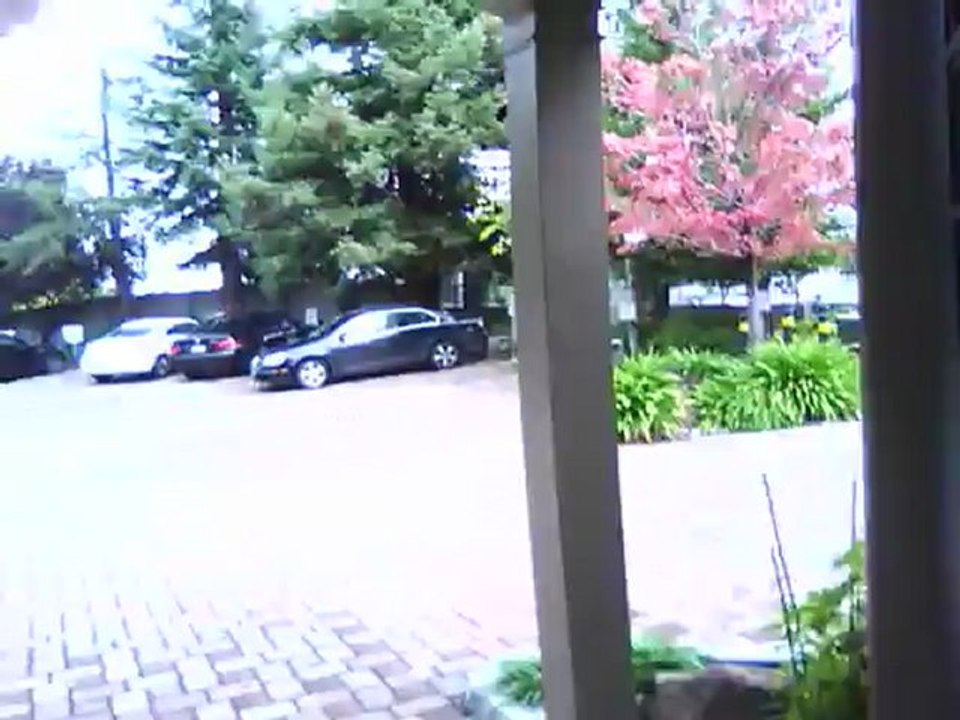 TARGET THE MAN TOO DARK: HOW MUSLIMS & NON-MUSLIMS CONNIVED TO DESTROY ANY LOVE-MARRIAGE IN MY LIFE - 18