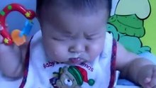 9Nov12 Feeding time SAM 0004 - YouTube