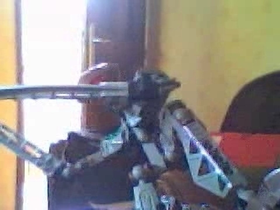Bionicle Dance