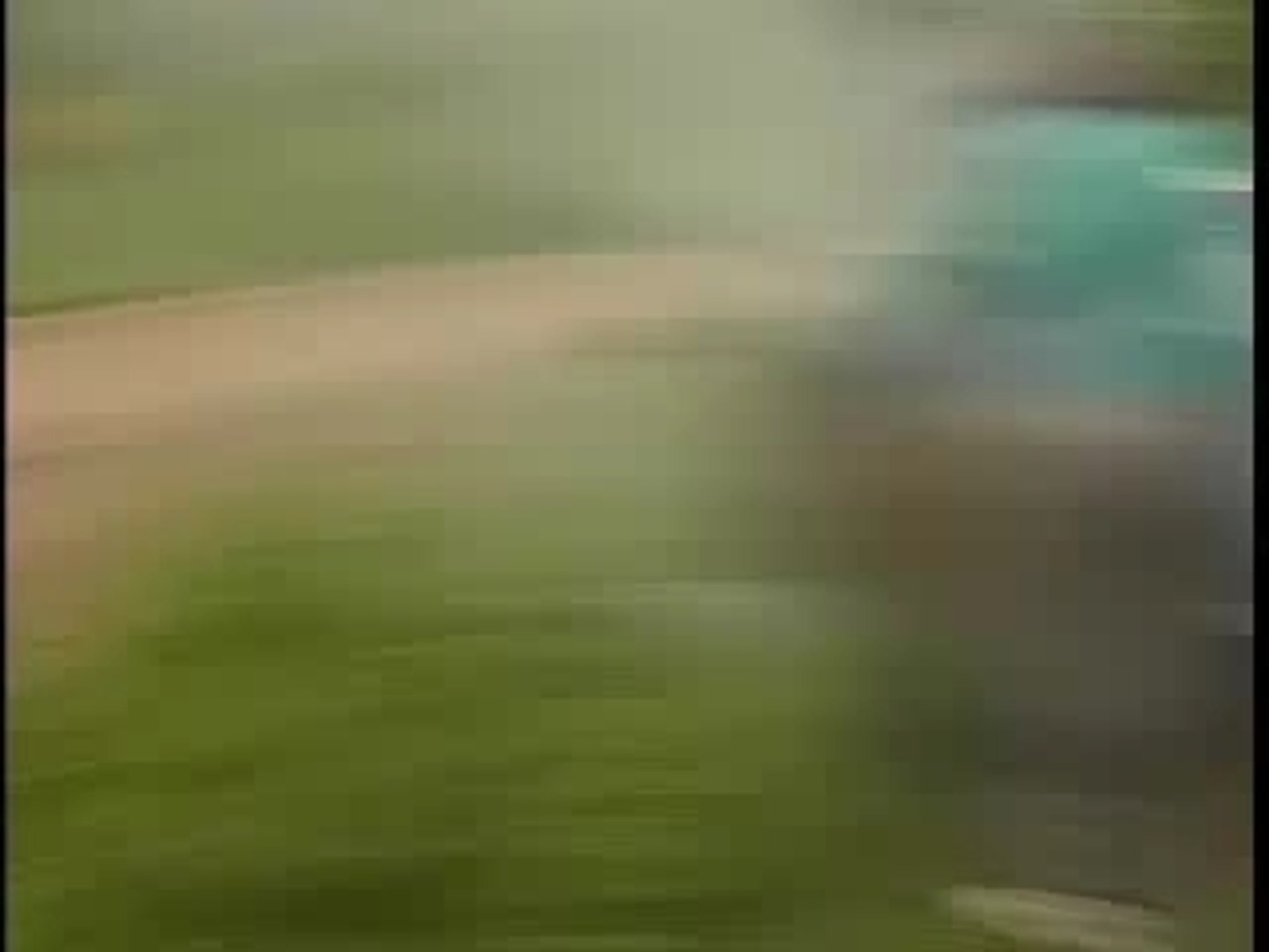 Rally