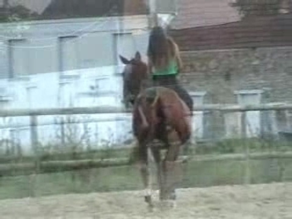 Alzaro