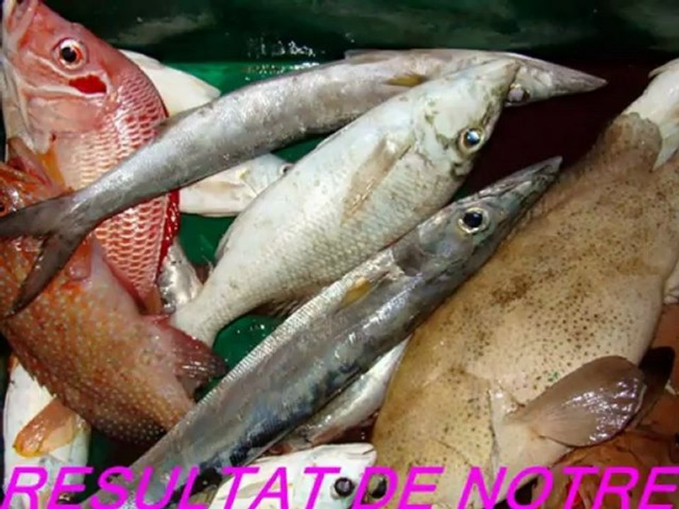 EN PLONGEE AUX MALDIVES