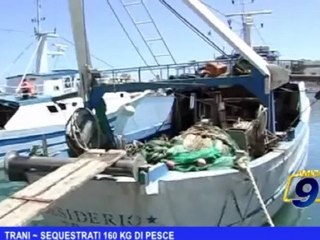 Trani | Sequestrati 160 kg di pesce