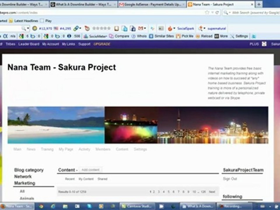 What Is A Downline Builder And Ways To Get Paid Daily Online Redo