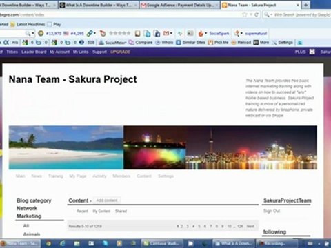 What Is A Downline Builder And Ways To Get Paid Daily Online Redo