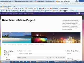 What Is A Downline Builder And Ways To Get Paid Daily Online Redo