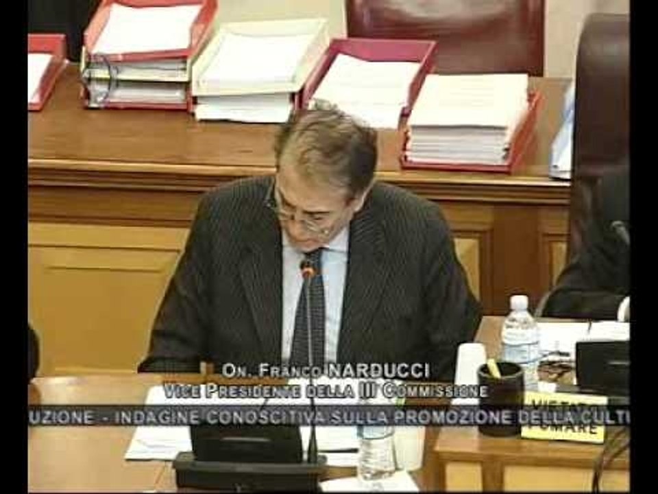 Roma - Promozione della cultura e della lingua italiana all'estero (14.11.12)