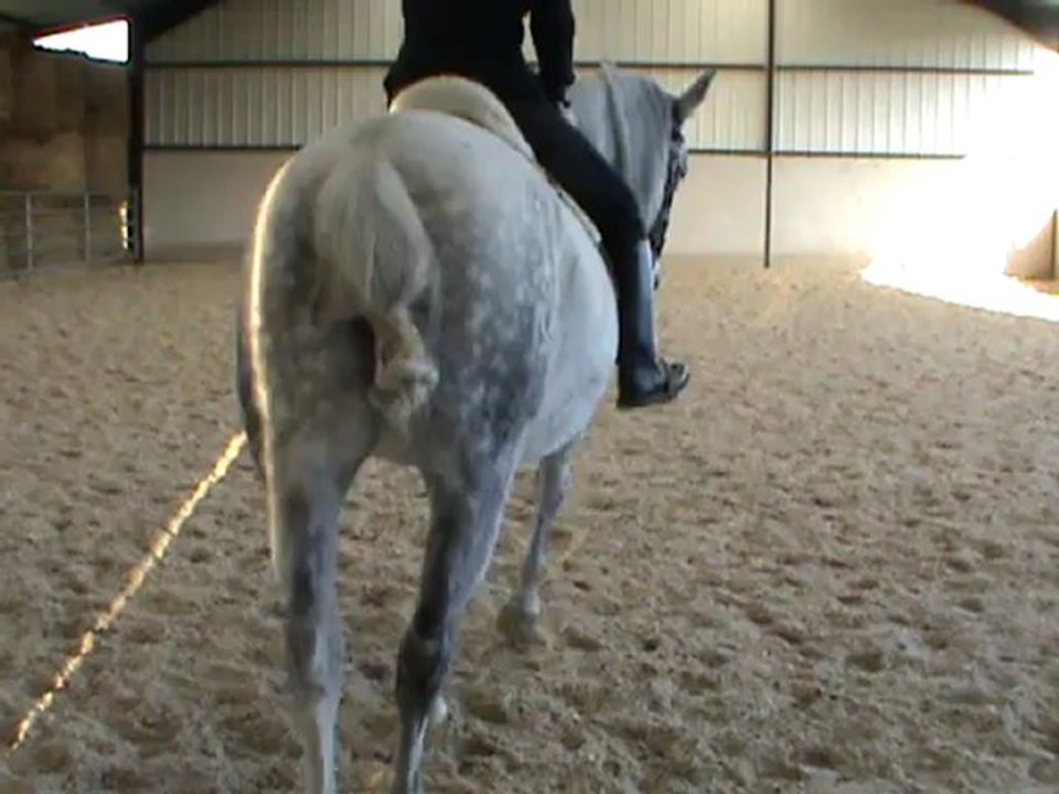 eed cercle trot G