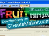 Fruit Ninja Frenzy Cheats Facebook