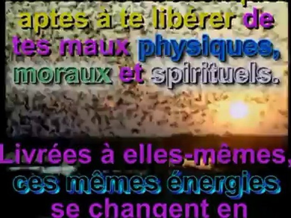 Lettres de l'Homme-Dieu. 4. La physiologie humanie