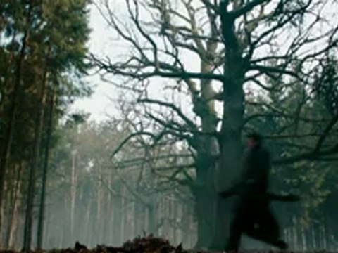 Hansel ve Gretel: Cadı Avcıları - Beyazperde