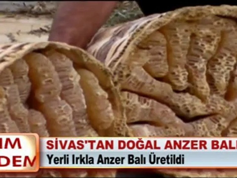 SİVAS’TAN DOĞAL ANZER BALI