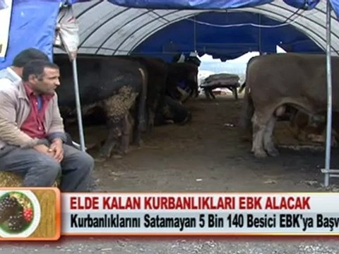 ELDE KALAN KURBANLIKLARI EBK ALACAK