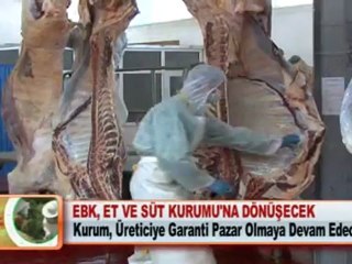 EBK, ET VE SÜT KURUMU'NA DÖNÜŞECEK