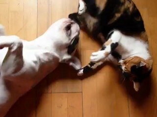 Olga et Colette jouent - nov.2012