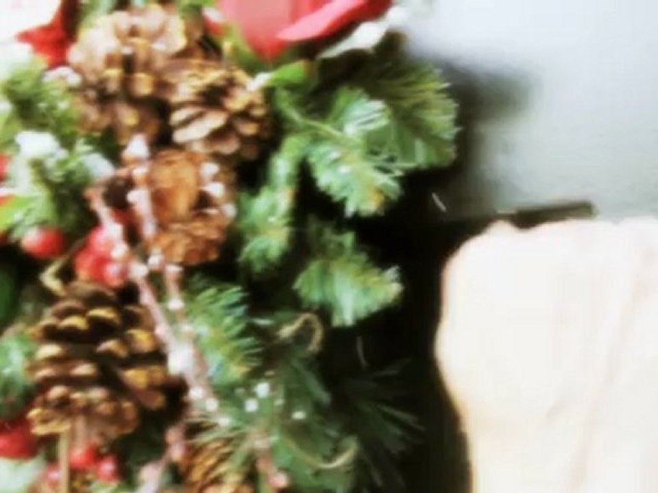 Lisa McClowry "Before The Tree Comes Down"