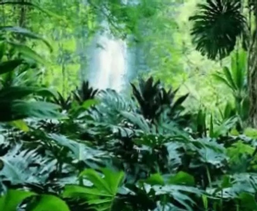 Müziksiz ilahiler 61 - Mevla gorelim neyler