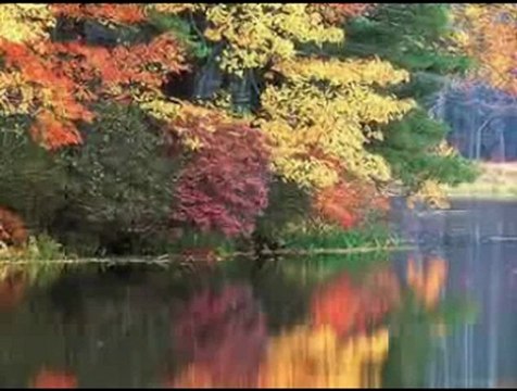 Müziksiz ilahiler 110 - Ya Rasulallah (aleyhisselam) (arabi)