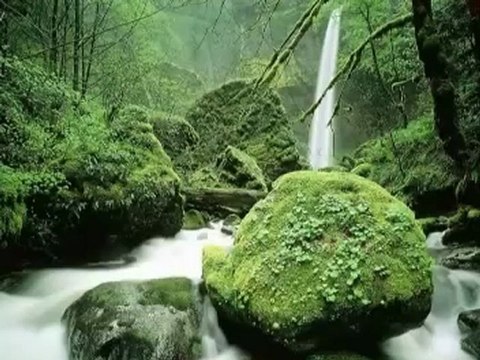 Müziksiz ilahiler 144 - Bu dunya fani