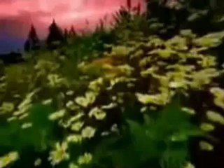 Müziksiz ilahiler 87 - Gaflet uykusunda yatar uyanmaz