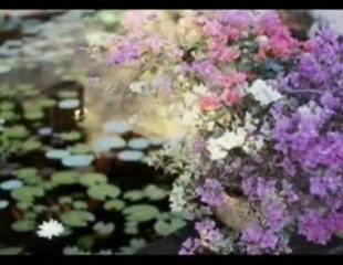 Müziksiz ilahiler 143 - Ey yolcular