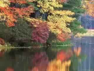 Müziksiz ilahiler 51 - Zikre dalmış