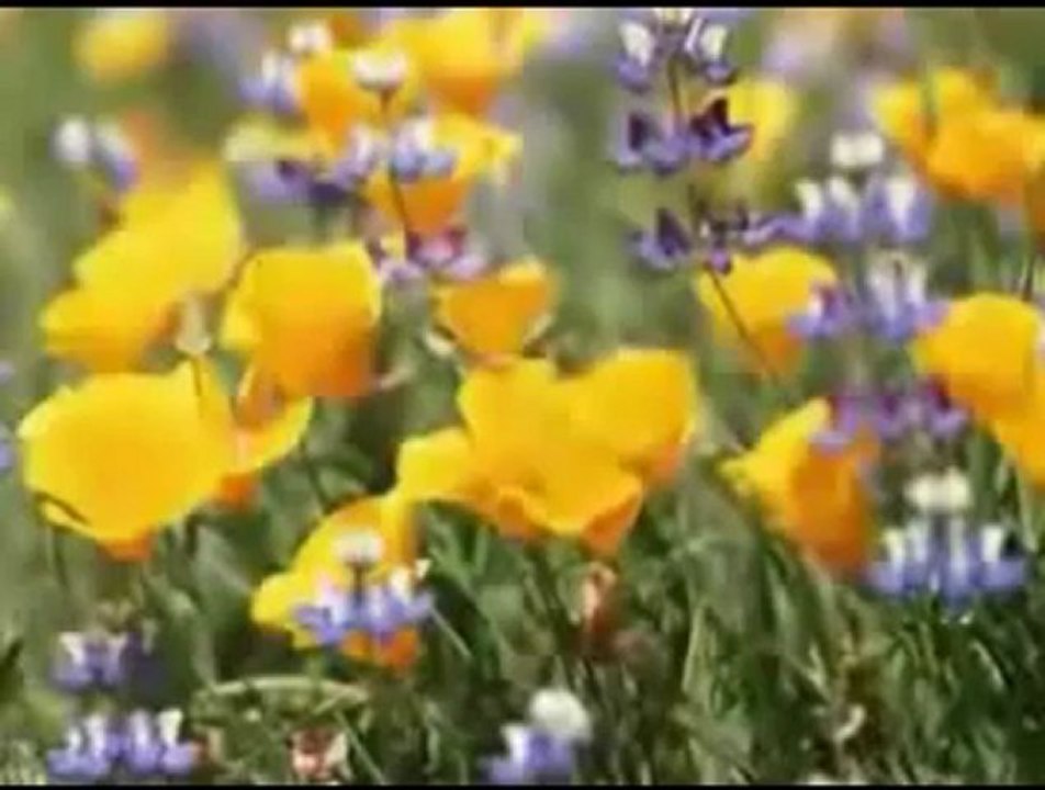 Müziksiz ilahiler 94 - Kundak icinde