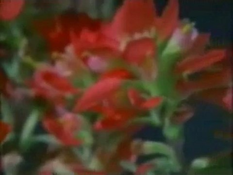 Müziksiz ilahiler 32 - Biz dünyadan gider olduk