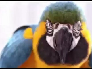 Sửa Bình Nóng Lạnh Tại Dịch Vọng 0986687668.