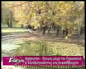 Για σένα: Κατάθλιψη, ειδική αγωγή
