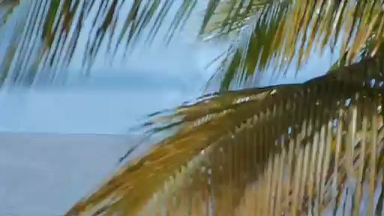 Guyane
