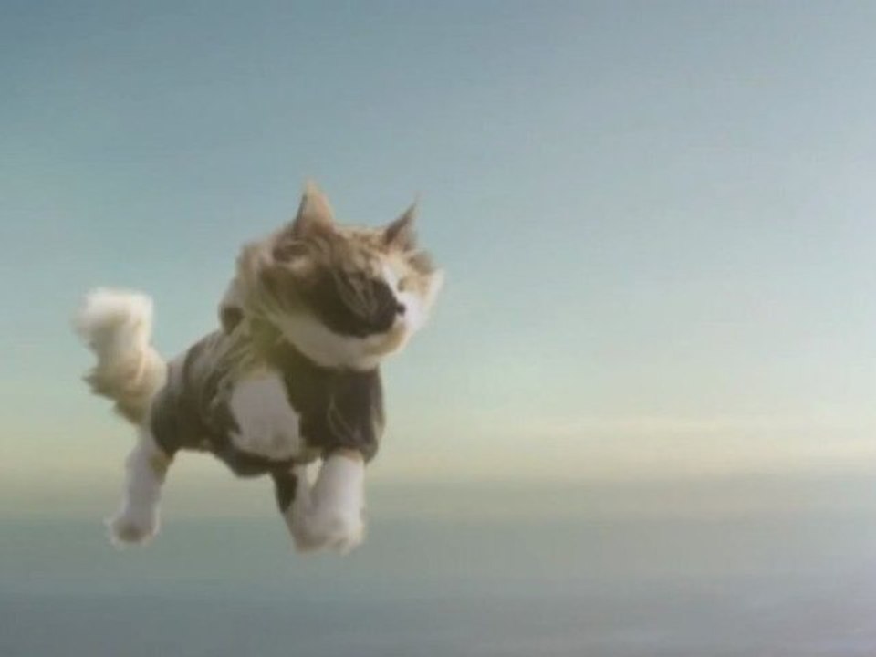 Pub Folksam - Chats en parachute