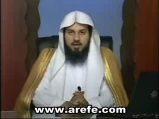 حكم تربية القطط والكلاب؟؟