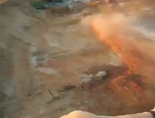 Köpekleri Hayattan Bezdiren Benzinli Baja  Rc  Araba