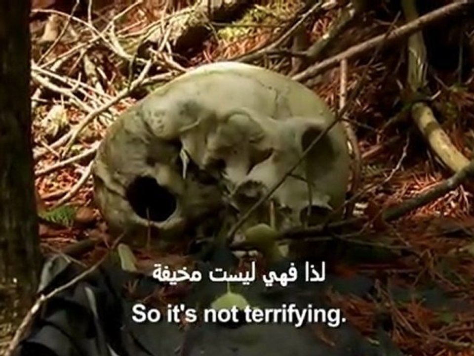 وثائقي: غابة المنتحرين في اليابان