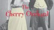 Literature Book Review: The Cherry Orchard by Anton Chekhov, Sharon Marie Carnicke