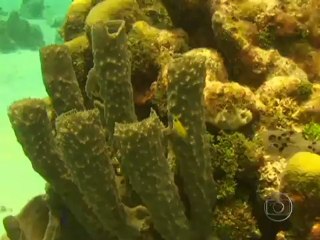 G.R 16-11-2012 P-3 Colômbia Tesouros: Escondidos