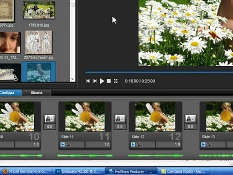 Урок в PSP-5 'ЛЕПЕСТКИ РОМАШКИ'.