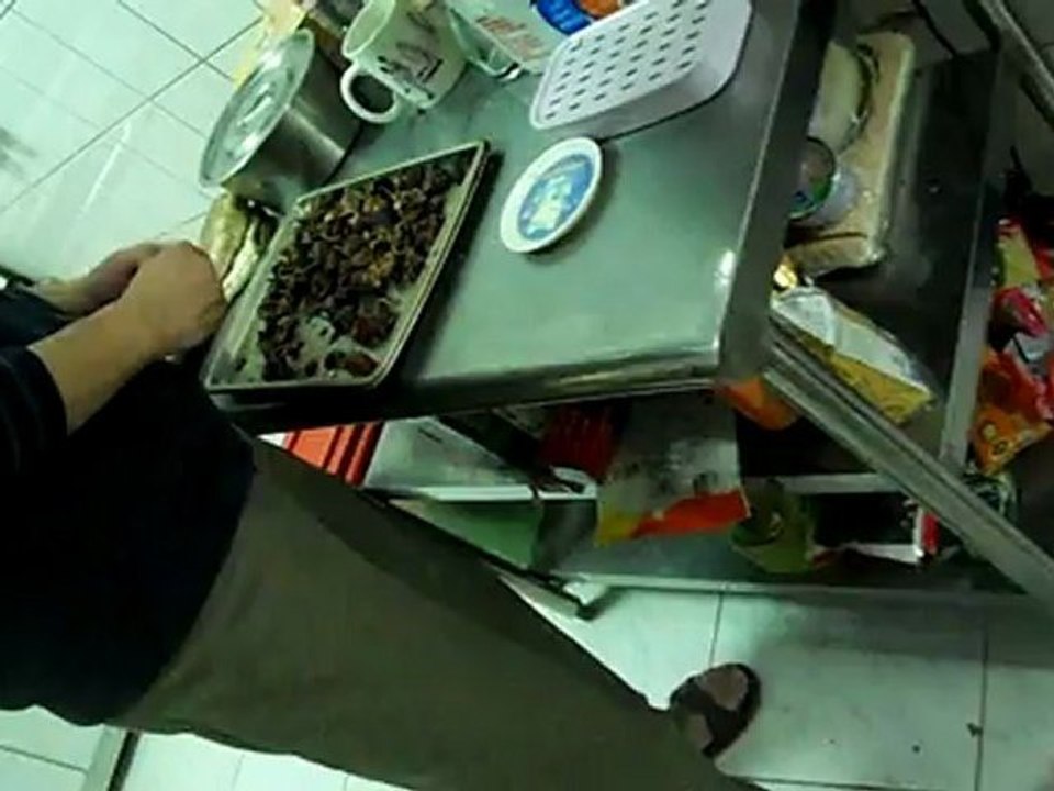 les chiennes attrapent les marrons