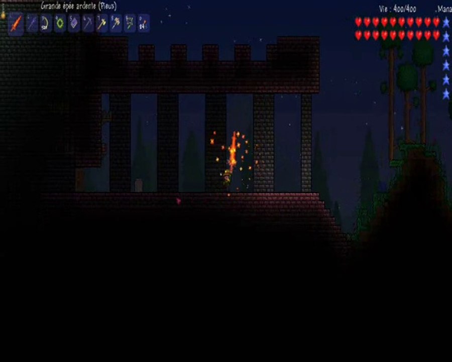 Terraria: Guêpes et donjon !