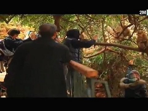 Le Maroc que j'aime : Ouzoud