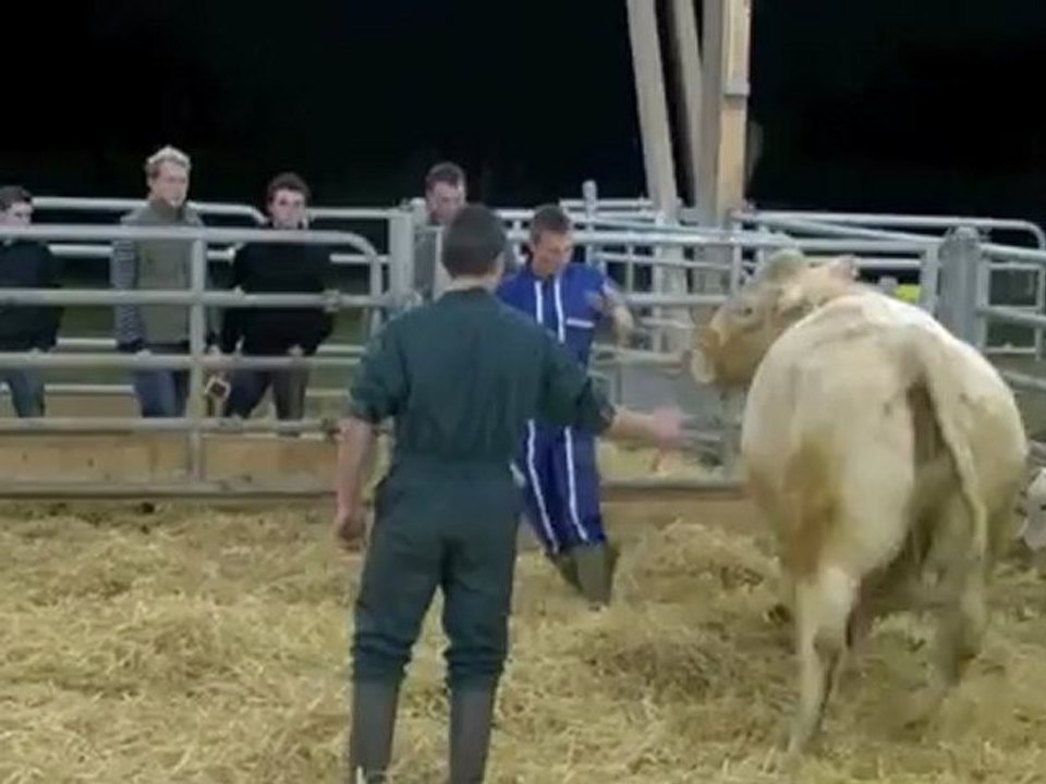 première leçon de marche