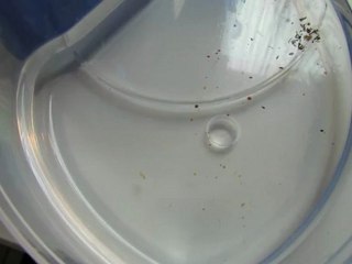TRIOPS
