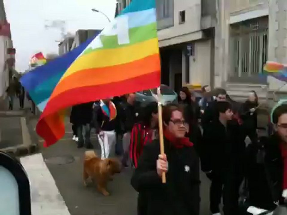 Marche des fiertés improvisée à La Roche-sur-Yon, en marge du rassemblement pour l'égalité des droits - 17 novembre 2012
