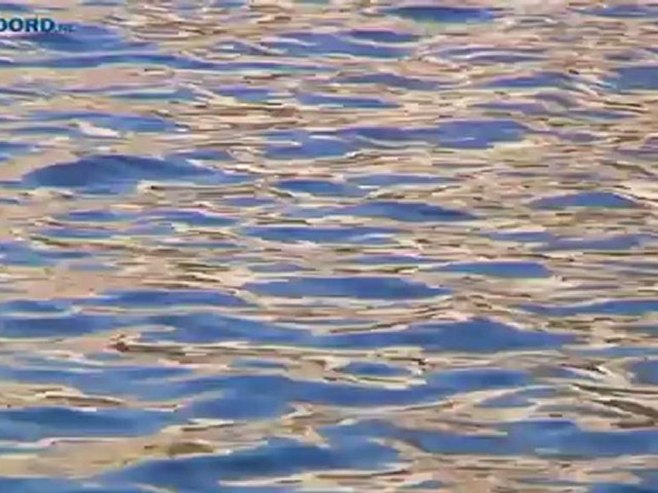 Gevonden menselijk bot stelt politie voor raadsel - RTV Noord