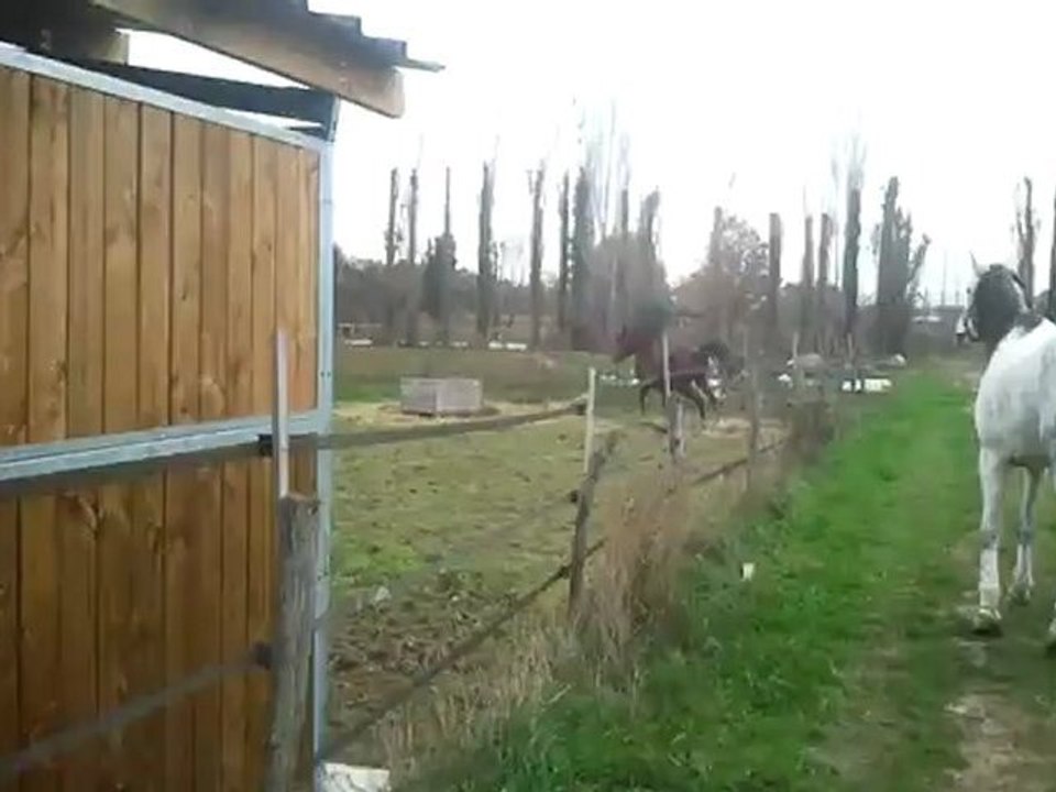 Anoki fait un petit show
